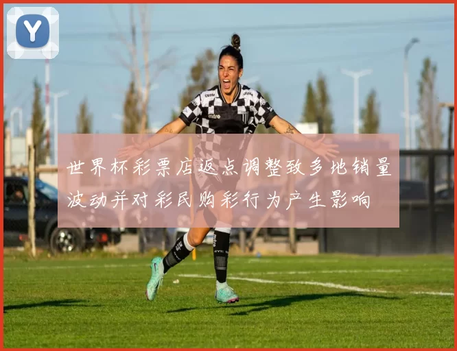 世界杯彩票店返点调整致多地销量波动并对彩民购彩行为产生影响